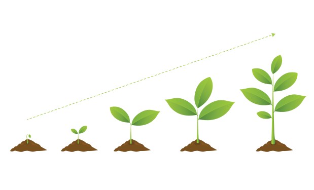 Venture Capitalists Develop Growing Appetite for Agri-Food Investments