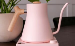 Stagg EKG kettle