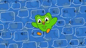 duolingo pattern