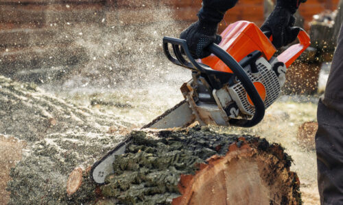 5 Essential Chainsaw Maintenance Tips for Safety, Longevity, and Peak Performance 5 Essential Chainsaw Maintenance Tips for Safety, Longevity, and Peak Performance
