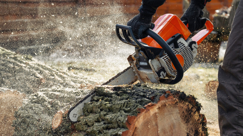 5 Essential Chainsaw Maintenance Tips for Safety, Longevity, and Peak Performance intro 1710856935